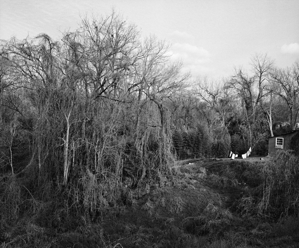   Laundry and kudzu, Martin Luther King Rd, Vicksburg, Mississippi , 2012 Edition: 3/10 Archival pigment print 16 1/2 × 20 in. (image size) The Do Good Fund, Inc., 2017-117 