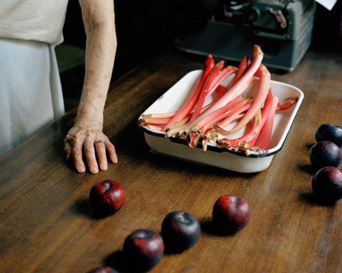   Margaret's Rhubarb , 2010 Edition: 1/10 Archival Pigment Print  20 × 25 in. (image size) The Do Good Fund, Inc., 2014-009 