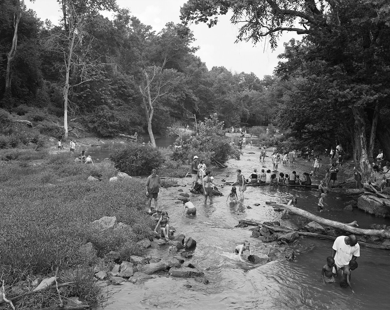   Eno River , 2004 (from  New Wilderness  series)  Edition: 5/5 Selenium-toned silver gelatin print, mounted to aluminum 28 x 35 in. (image size) The Do Good Fund, Inc., 2019-022 