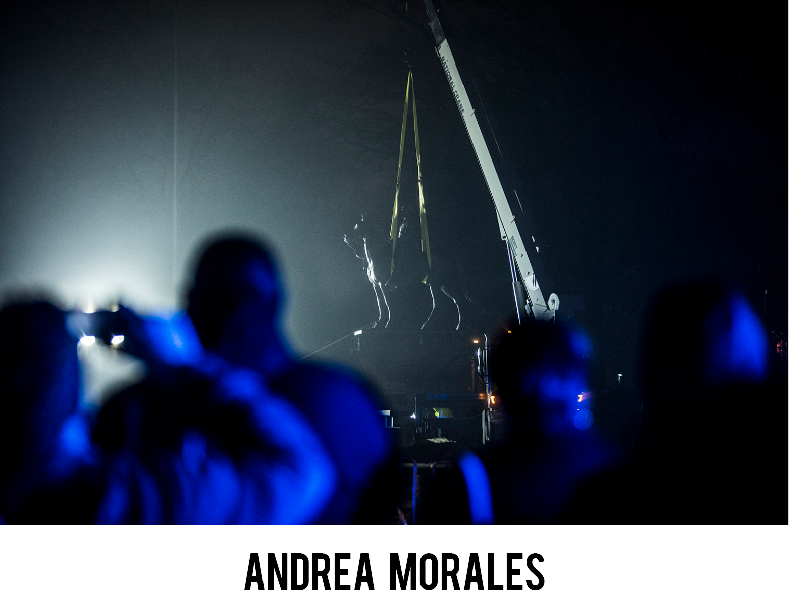 Morales_Andrea.png