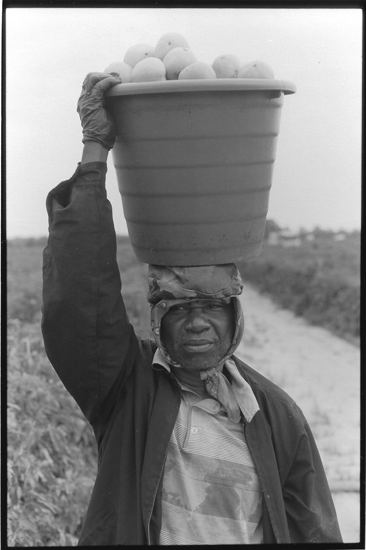   Migrant Farmworker Picking Tomatoes, Gadsden County, FL,  2020 Gelatin silver print 8 1/4 x 5 1/2 in. (image size) The Do Good Fund, Inc., 2020-050 