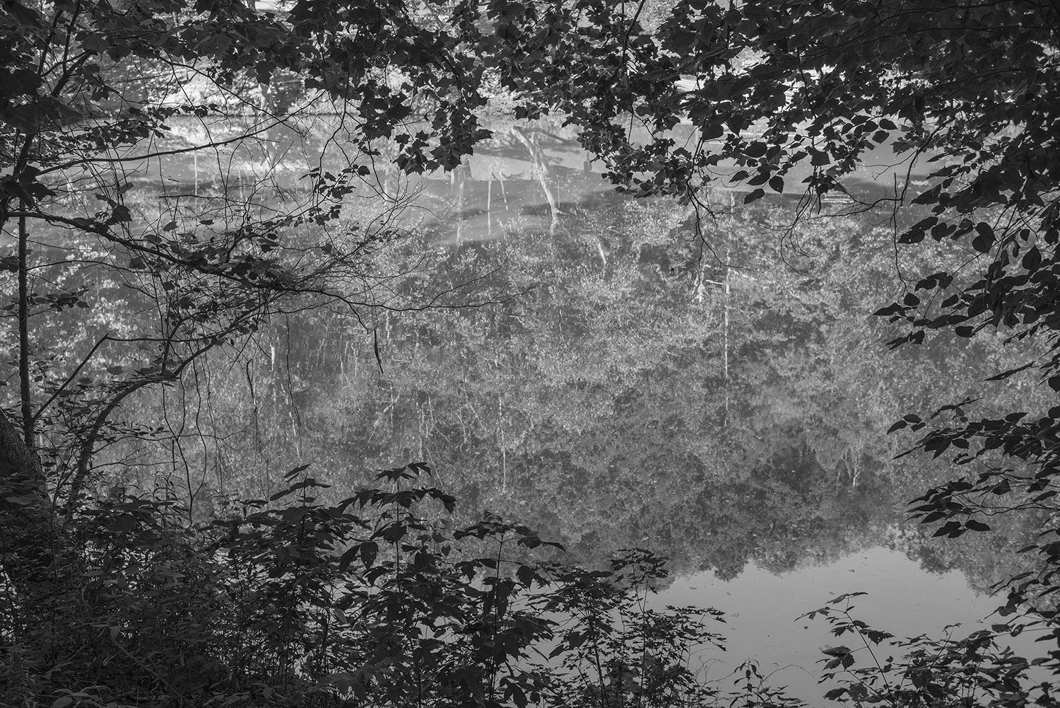   Hell For Certain  Image: 2016/printed: 2019 Edition: 1/4 Gelatin silver print 20 x 30 in. (image size)  The Do Good Fund, Inc., 2021-024 