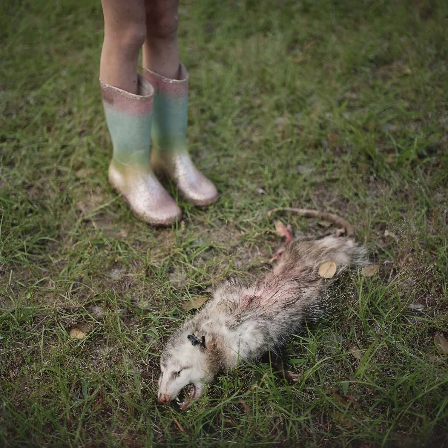   Mayhem &amp; Wonder  (From the  Hold Nothing Back  series)  Image: 2020/ printed: 2021 Edition: 1 of 8 Inkjet print 24 x 24 inches (image size)  The Do Good Fund, Inc., 2021-096 