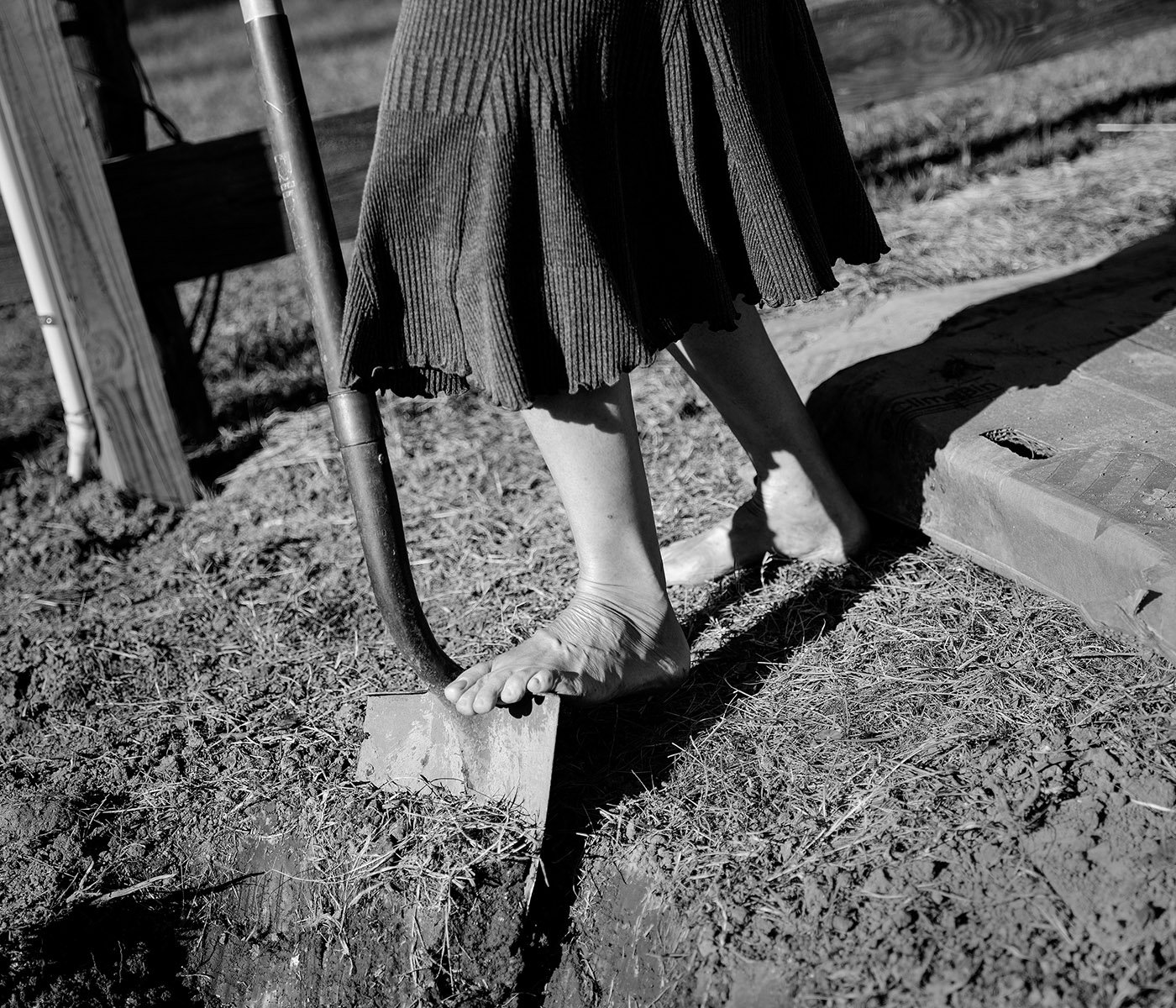   Childersburg, Talladega County, Ala. Sunshine turns soil in the Commons Community Workshop garden.  Archival Pigment Print Image: 2020 / Printed: 2022 21 x 24 1/2 in (image size) Edition: 1/10 The Do Good Fund, Inc., 2022-002 