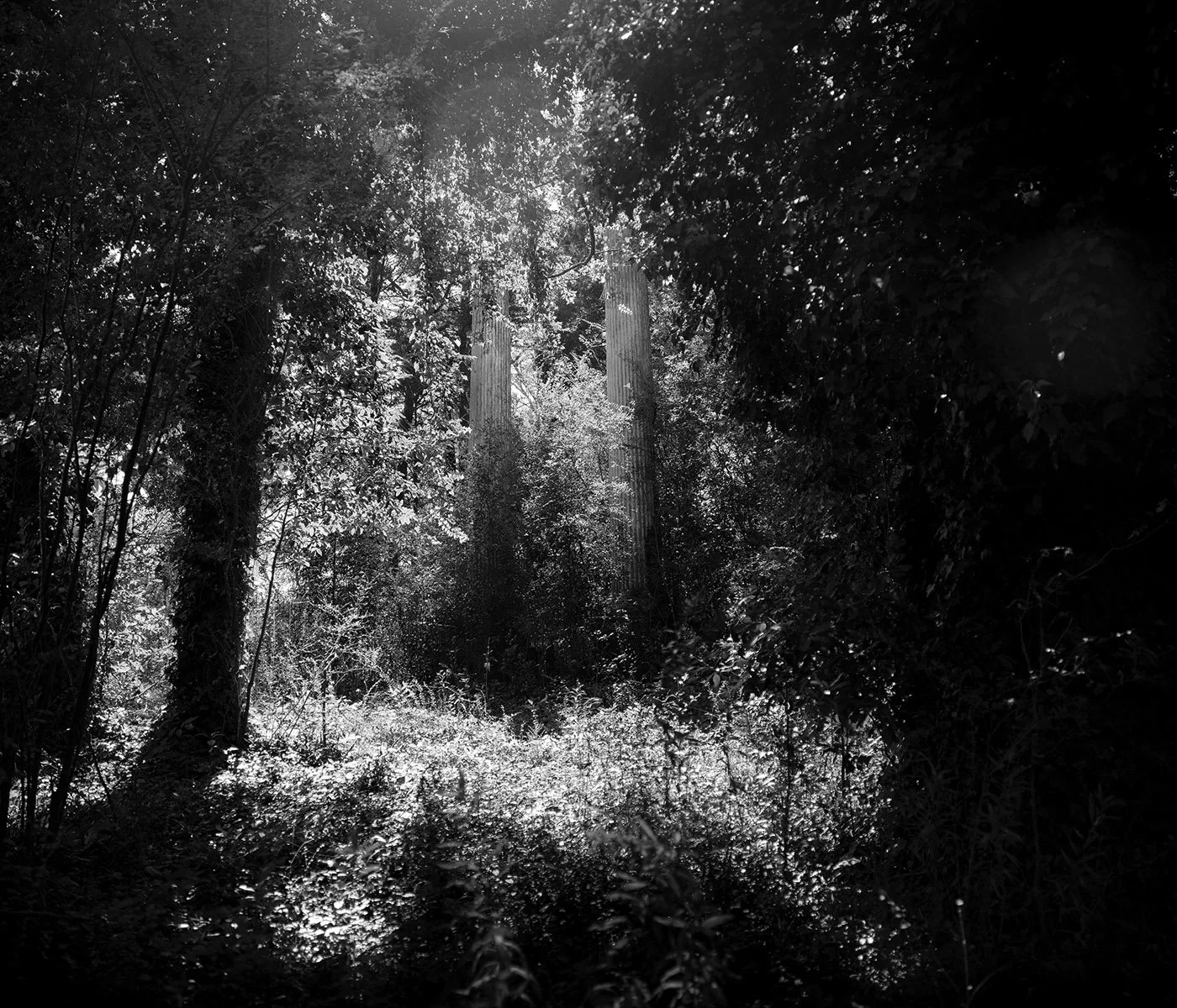   Talladega County, Ala. Ruins of Mt. Ida Plantation.  Archival Pigment Print Image: 2020 / Printed: 2022 21 x 24 1/2 in (image size) Edition: 1/10 The Do Good Fund, Inc., 2022-006 