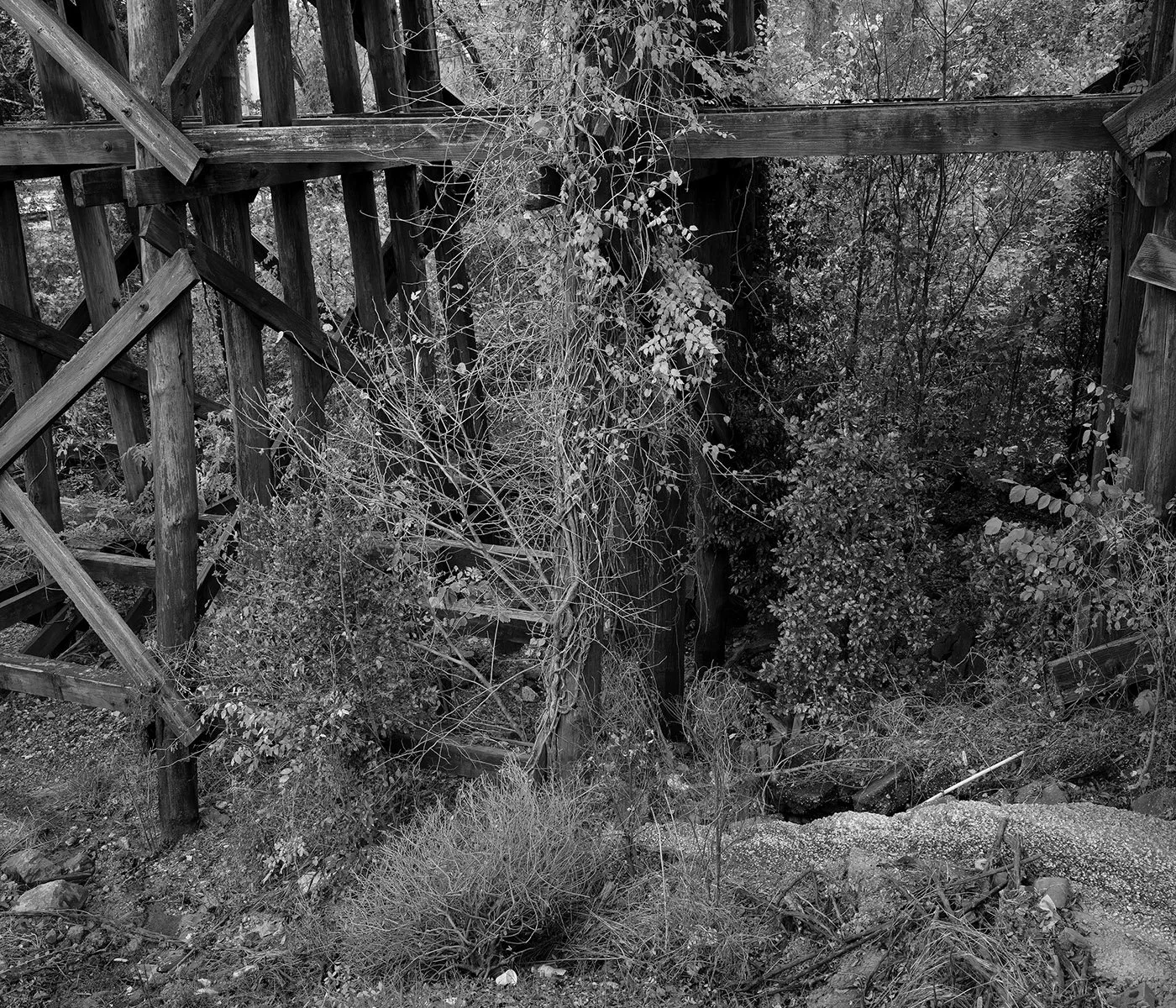   Gadsden, Etowah County, Ala. Locust Street bridge, site of the lynching of Bunk Richardson.   Archival Pigment Print Image: 2020 / Printed: 2022 21 x 24 1/2 in (image size) Edition: 1/10 The Do Good Fund, Inc., 2022-022 