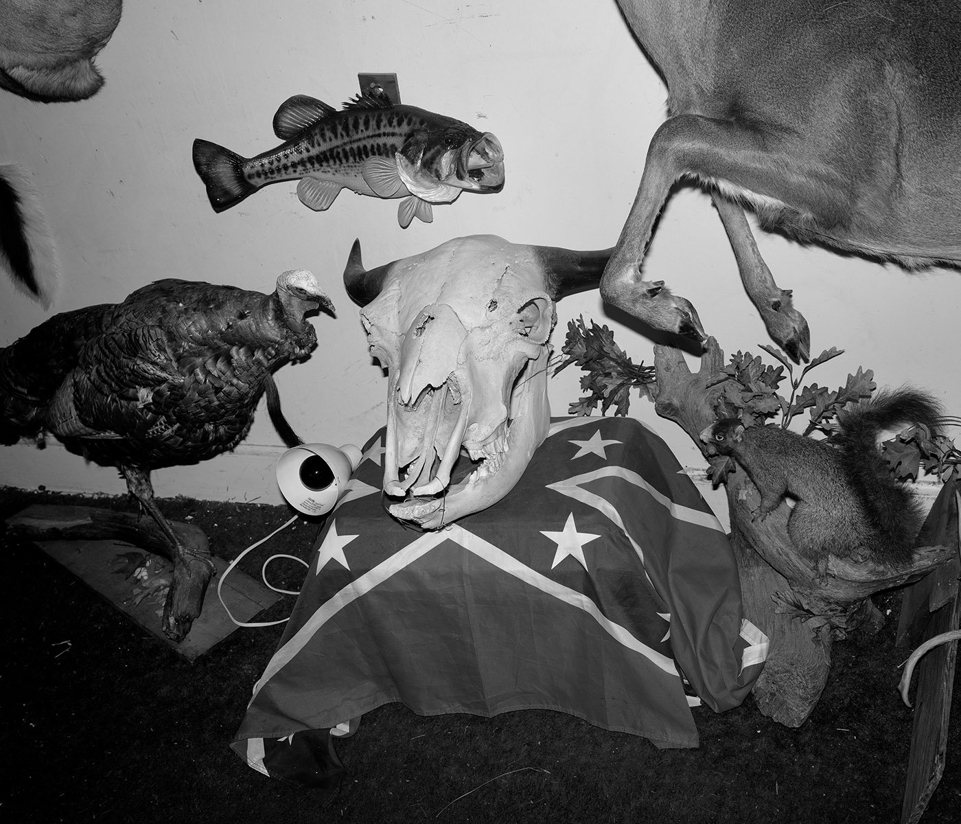   Jacksonville, Calhoun County, Ala. Taxidermy tableaux.   Archival Pigment Print Image: 2020 / Printed: 2022 15 x 17  1/2 in (image size) Edition: 1/10 The Do Good Fund, Inc., 2022-010 