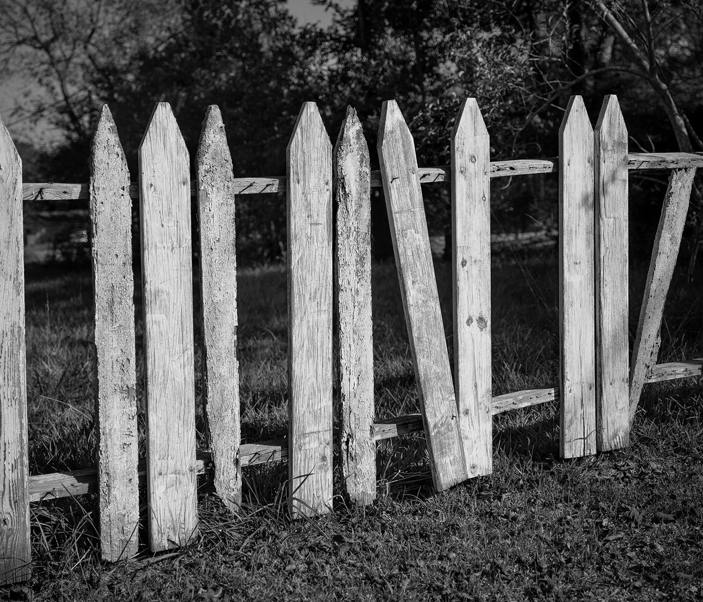   Uniontown, Perry County, Ala.   Archival Pigment Print Image: 2021 / Printed: 2022 15 x 17 1/2 in (image size) Edition: 1/10 The Do Good Fund, Inc., 2022-013 