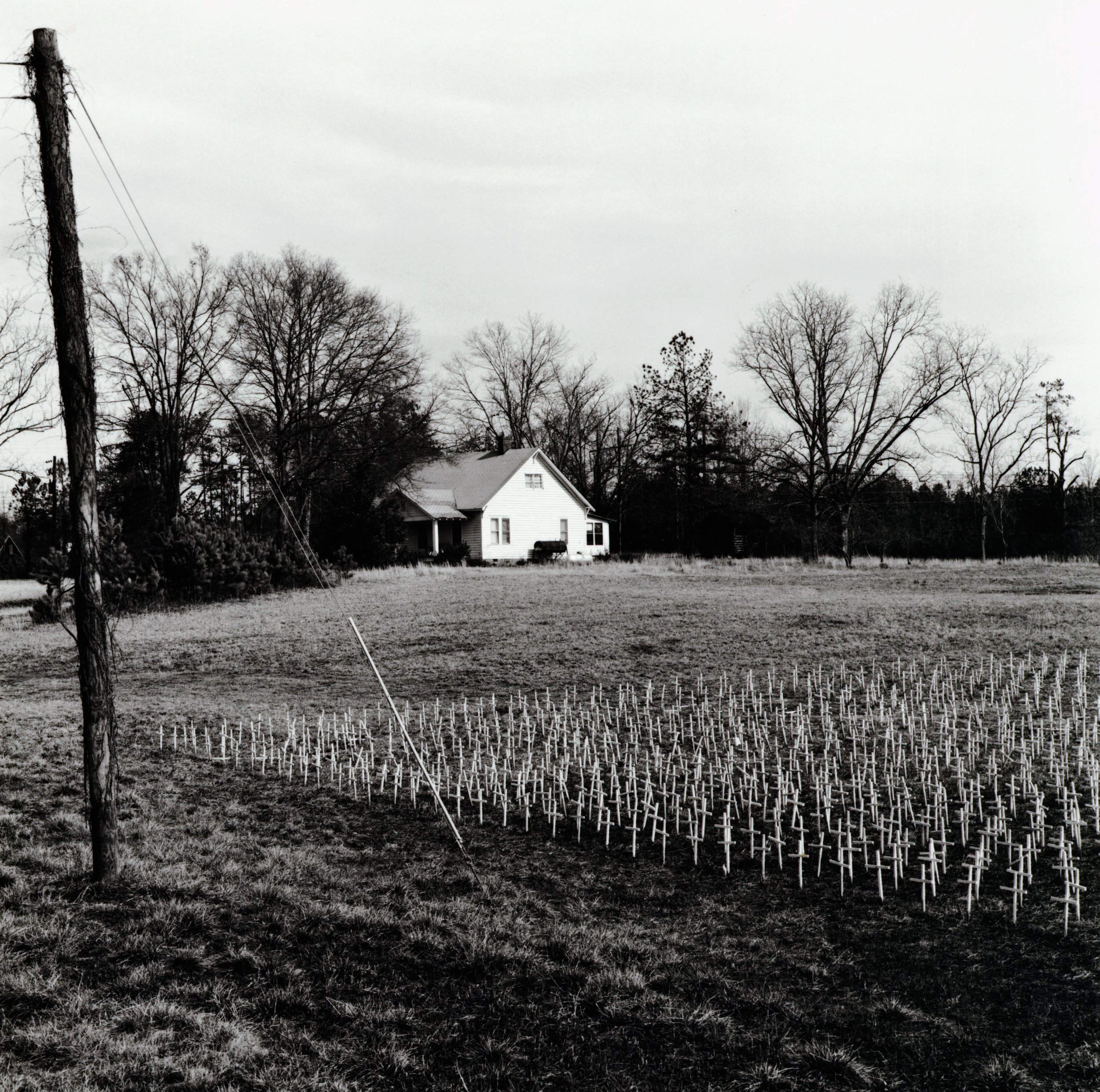 Field of Crosses, Georgia, 2001