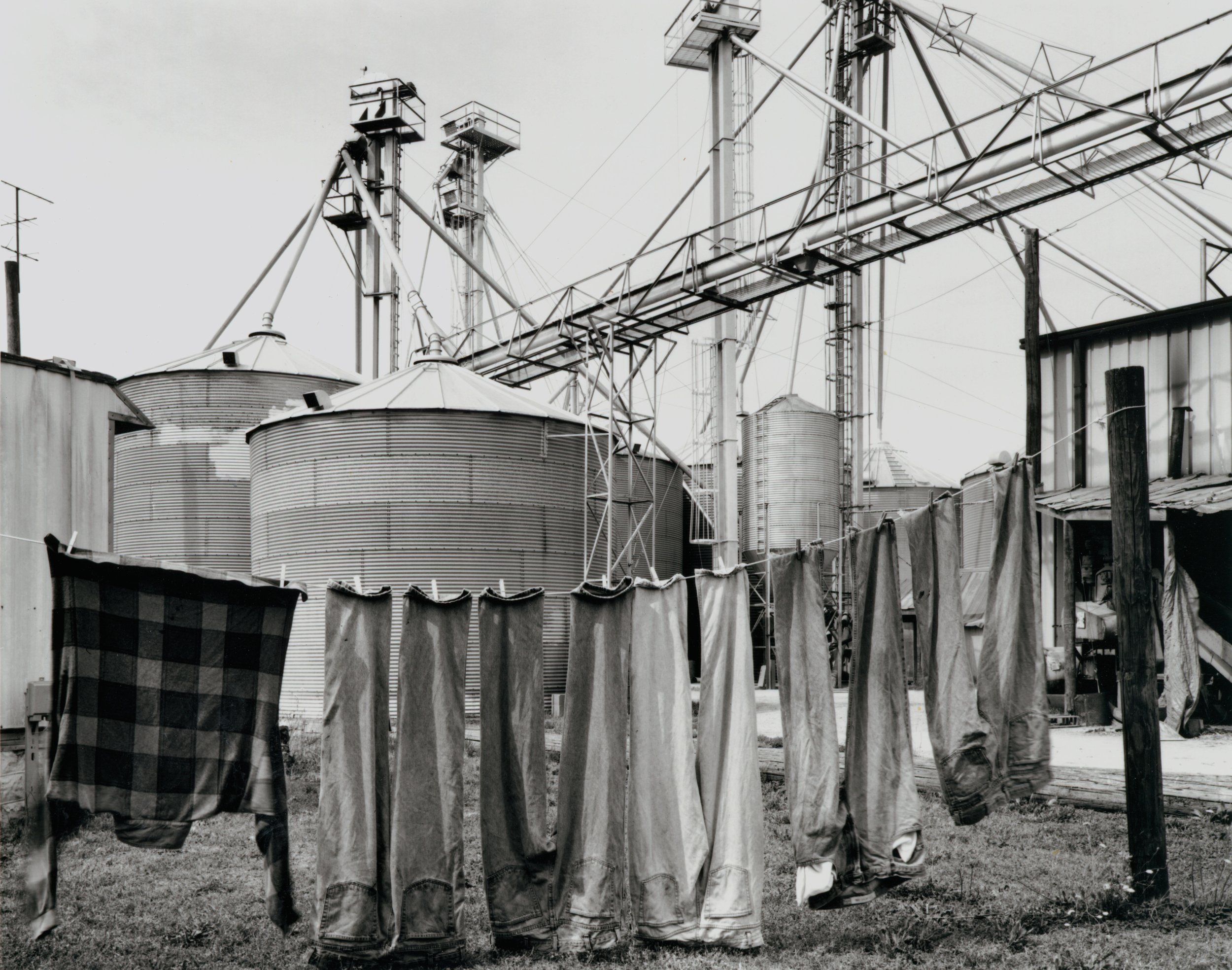 Working Pants, Smithfield, NC