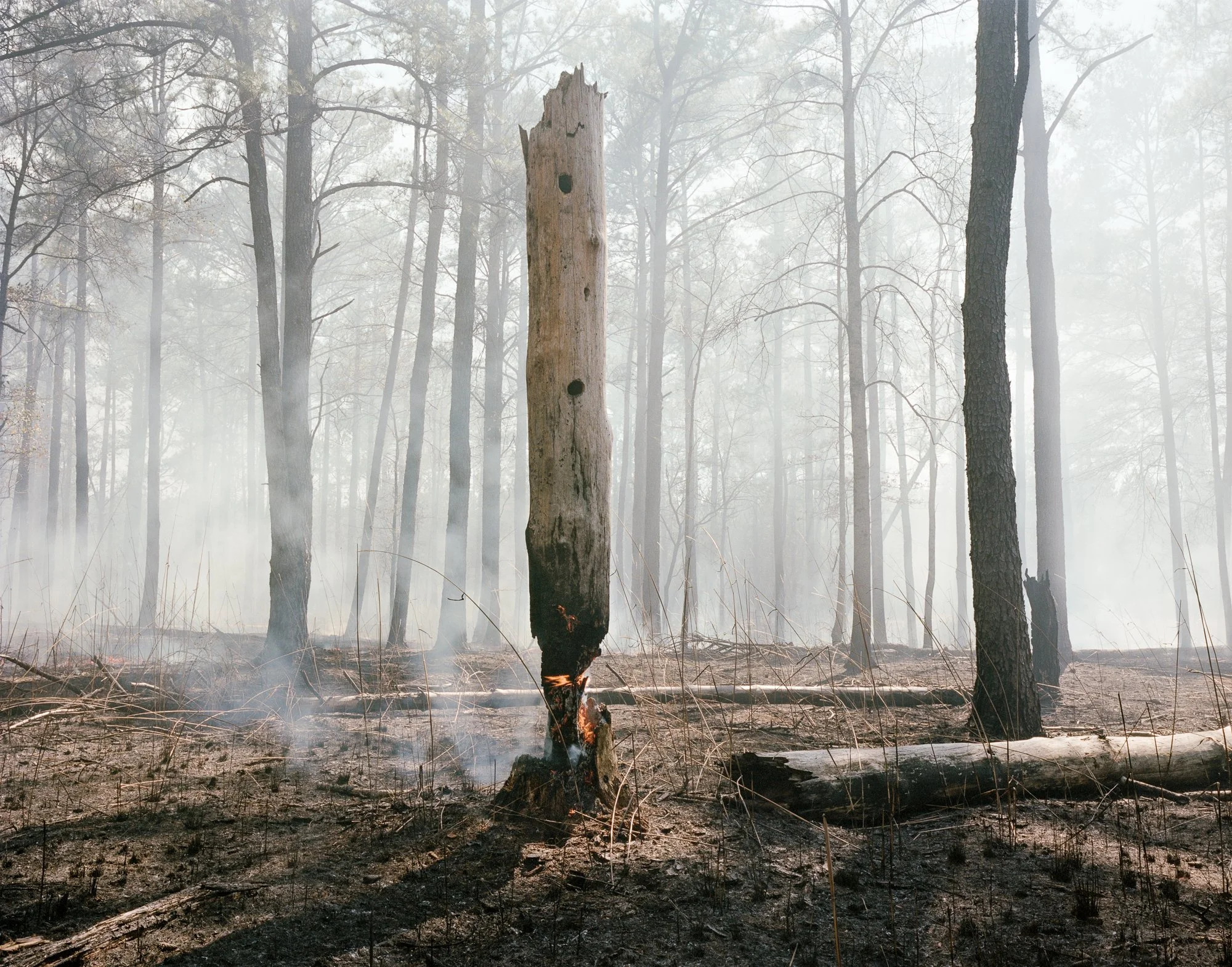   #3 Lee County, AL,  2016  Image: 2016/ printed: 2023 Edition  1 of 7  Archival Pigment Print  The Do Good Fund, Inc., 2023-016 