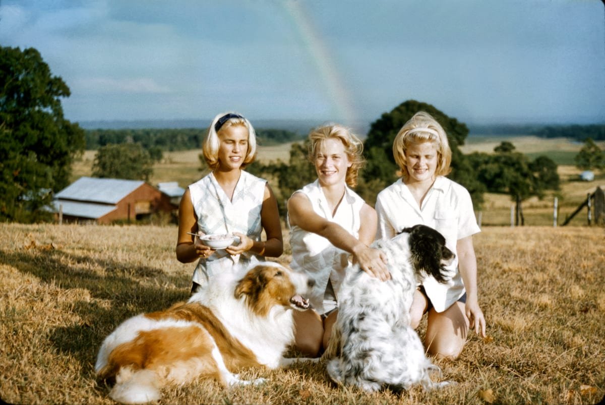  William Ferris,  Shelby Fitzpatrick, Hester Magnuson, Martha Ferris, King, and Queenie, 11186 Fisher Ferry Road, Ferris home, Warren County, Mississippi  