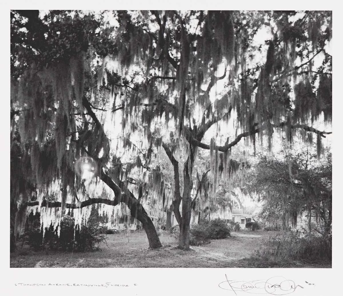 Eatonville 4.jpg