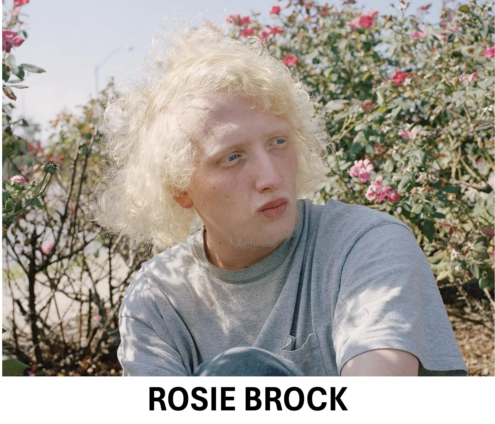 Rosie Brock