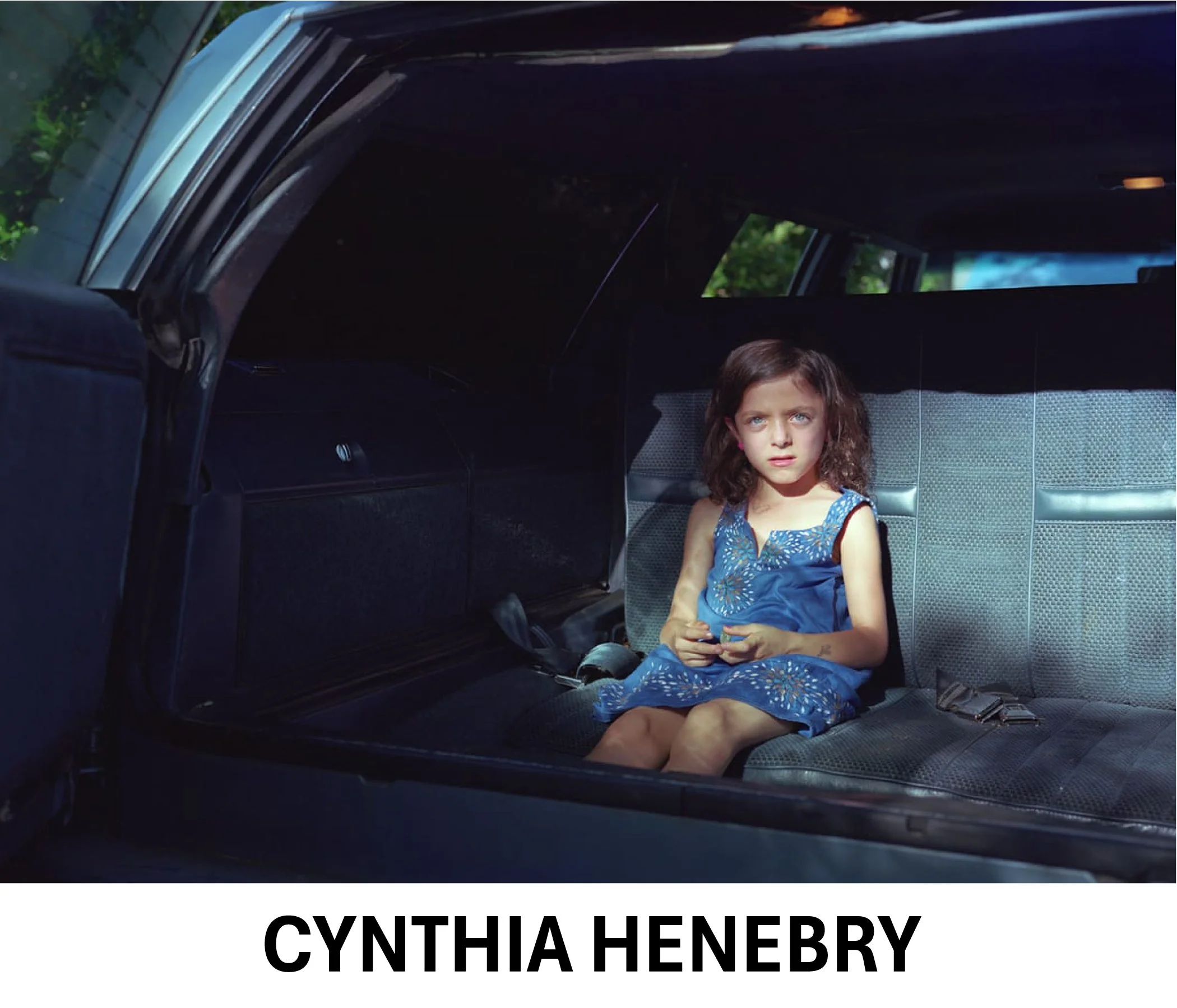 Cynthia Henebry