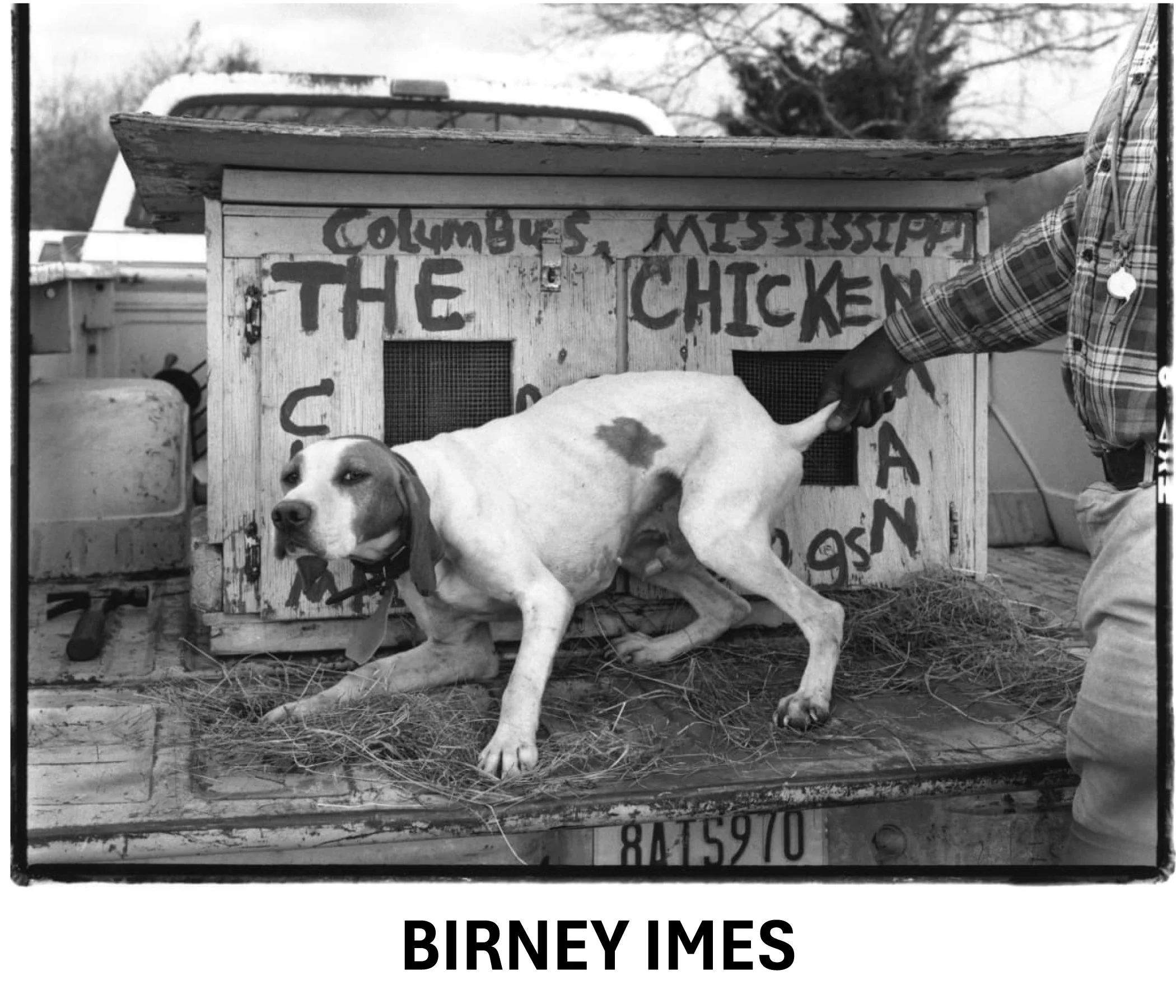Birney Imes