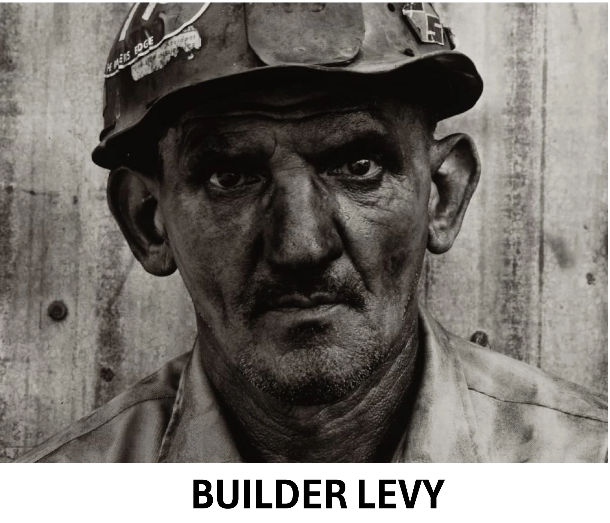 Builder Levy