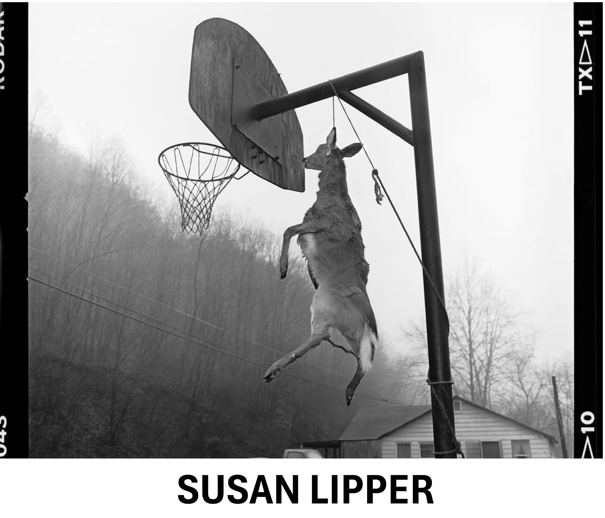 Susan Lipper