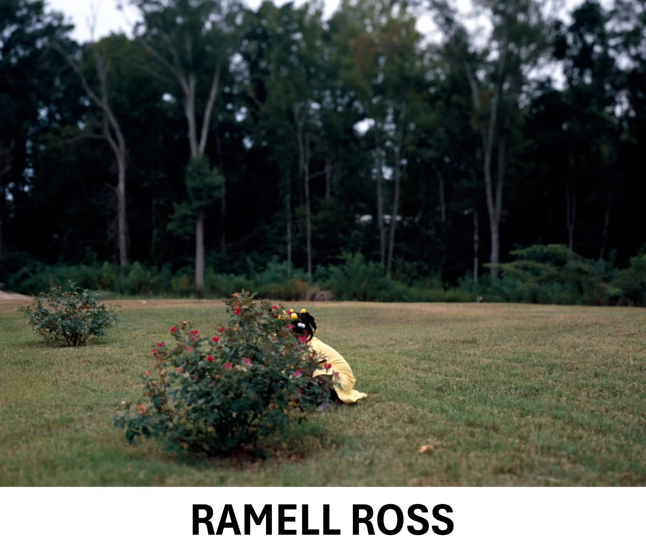 Ramell Ross