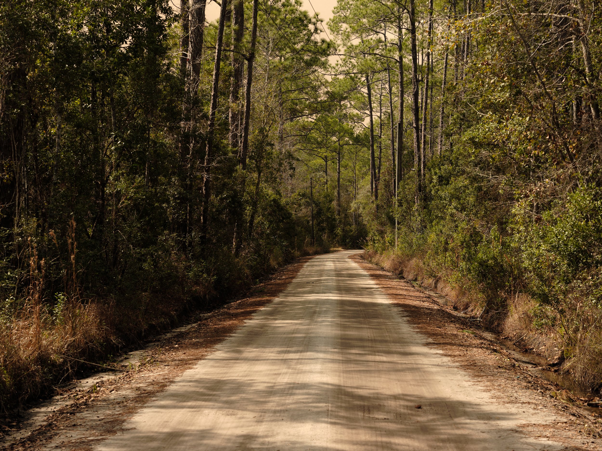 Michael Adno Tate's Hell near St. Teresa, Florida, 2024