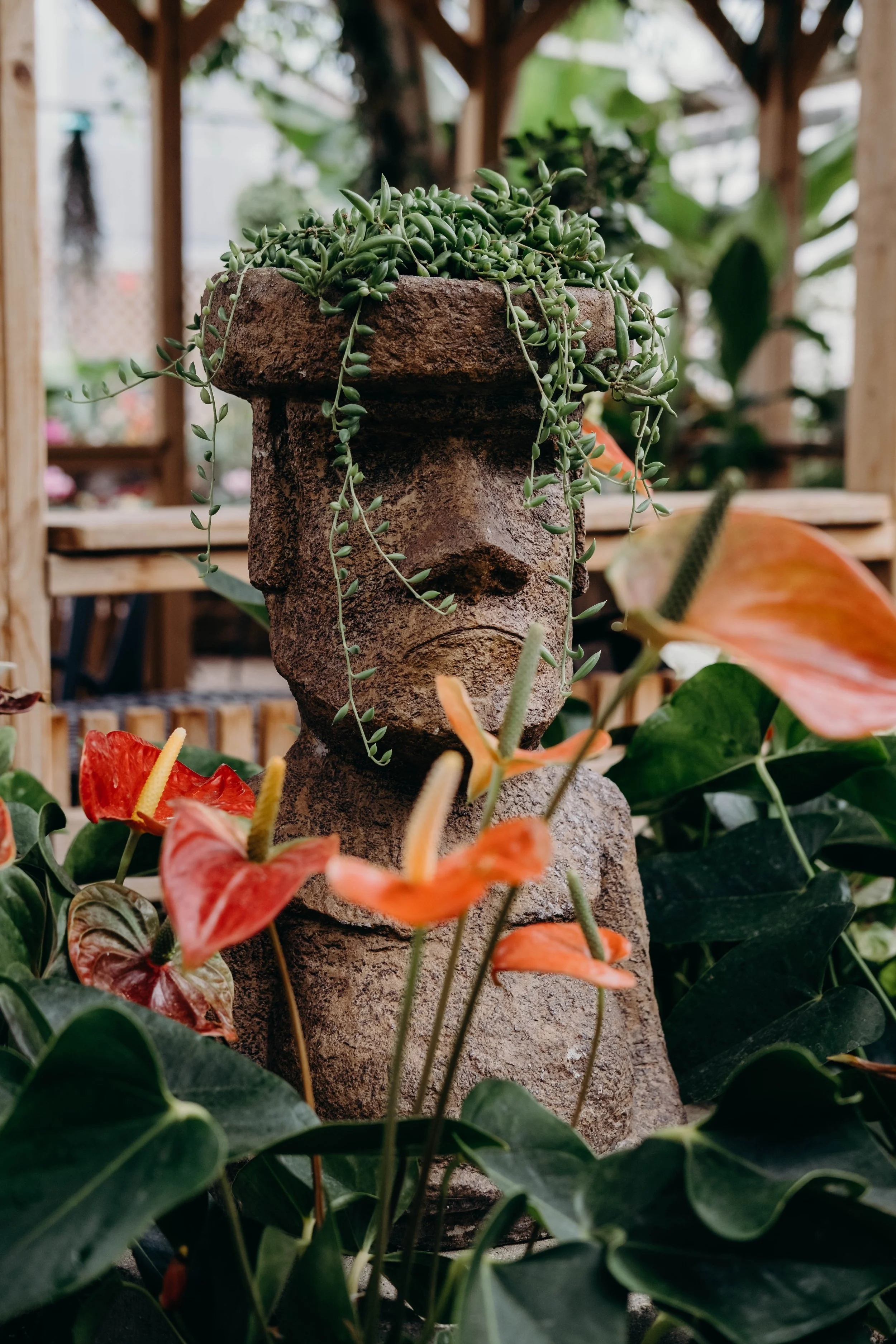 The MaiTai-p of Groove Wedding Cocktail Hour