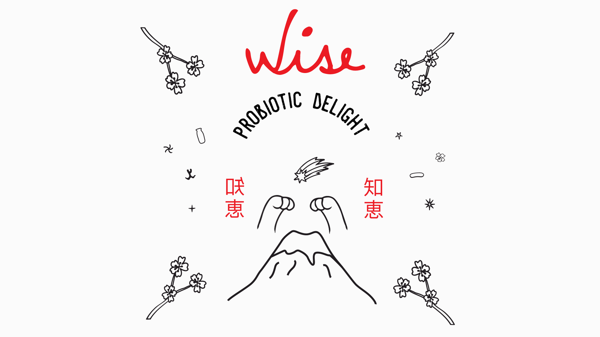 wise animation 02.gif