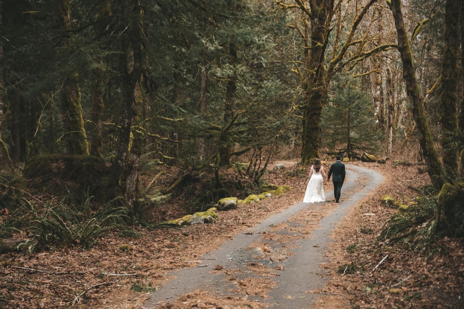 couple-walks-forest