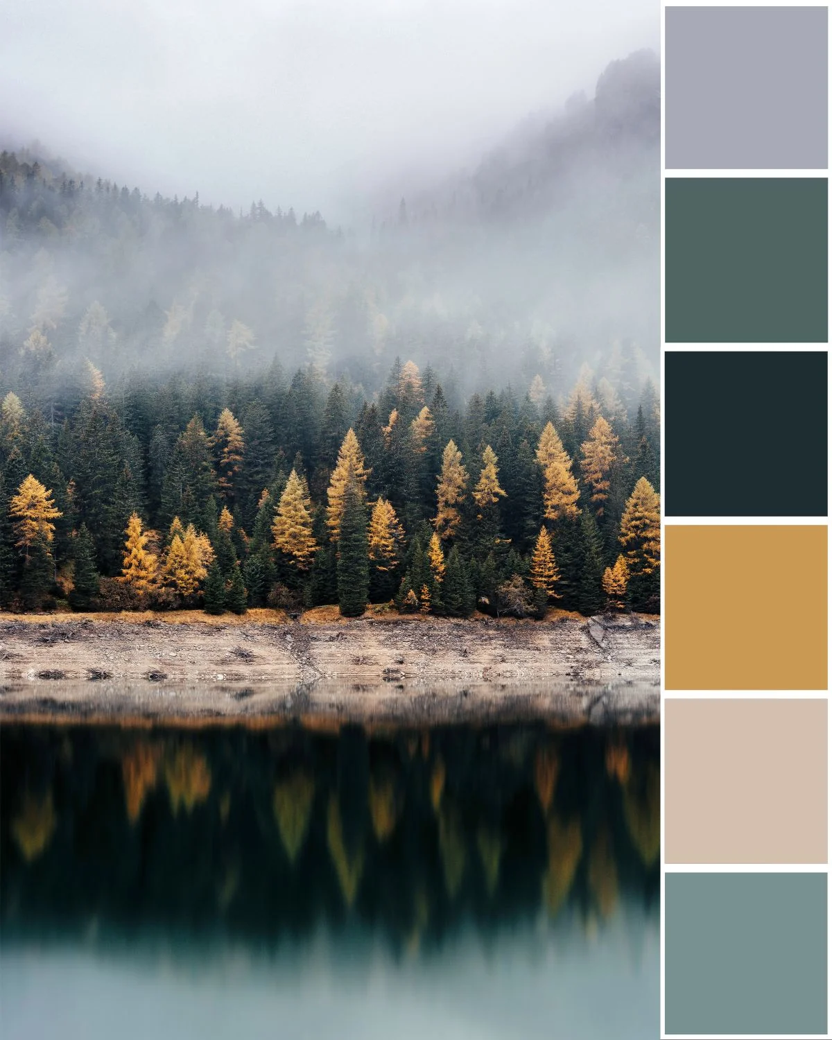 forest-fog-color-palette.jpg