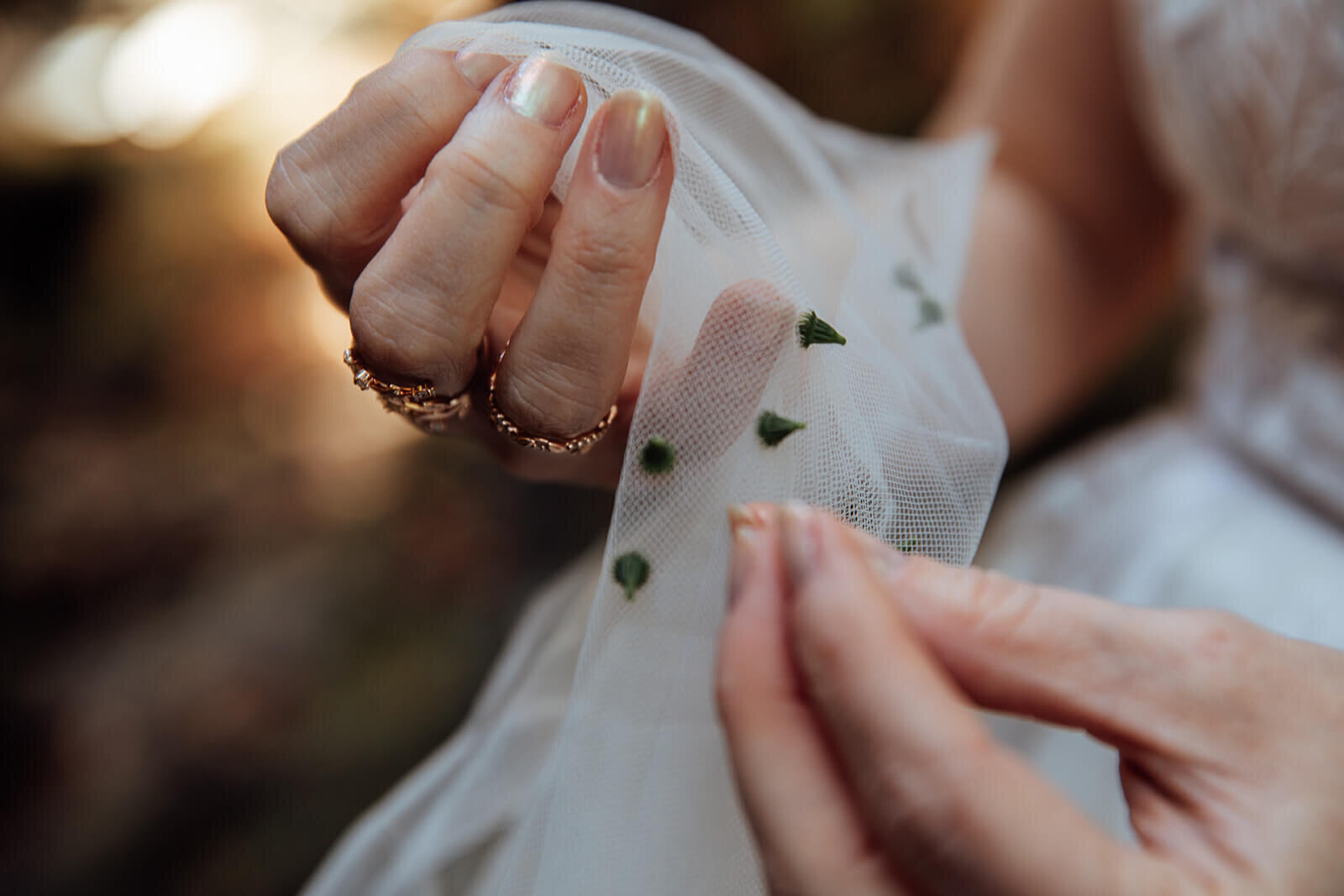  Bride picks pricklies out of her dress during her Fall elopement in Vermont 