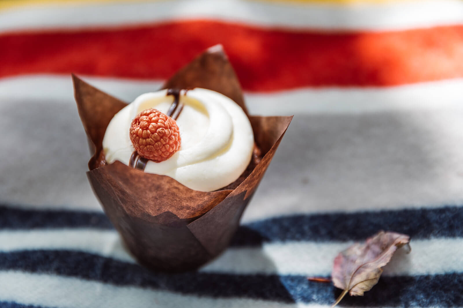  Cupcake by North Country Cakes made for Vermont elopement 