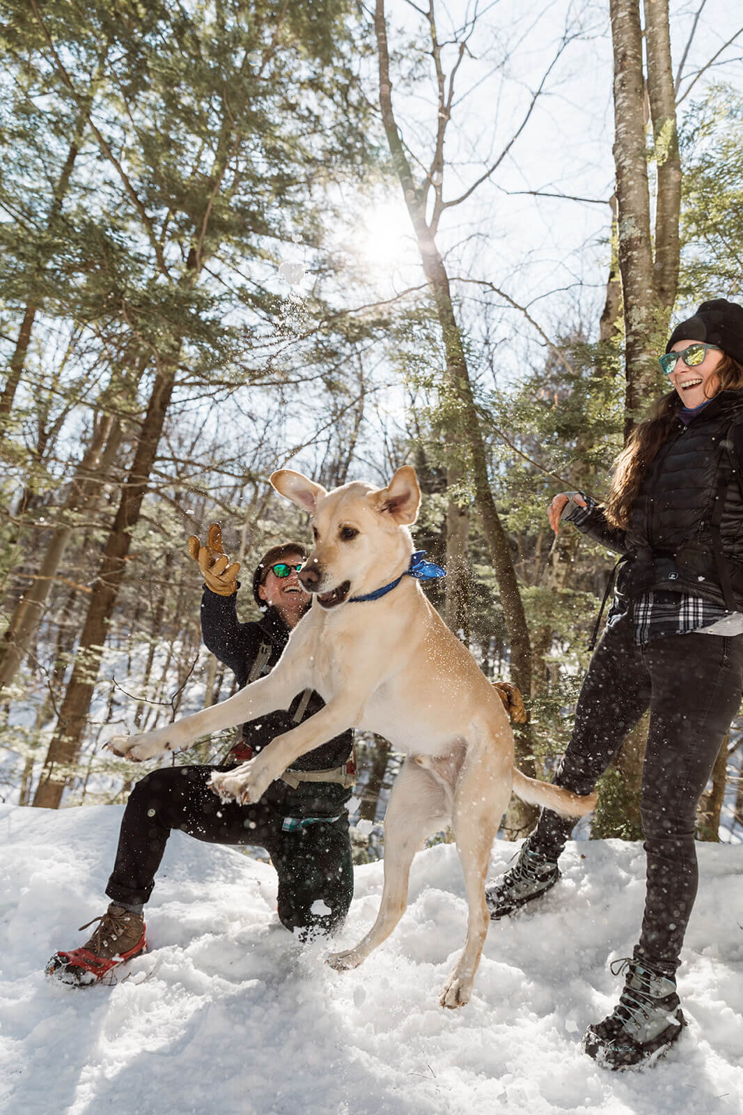  Couple hike Mt. Major in New Hampshire in the snow with their dog for their anniversary. New Hampshire elopement photographer 
