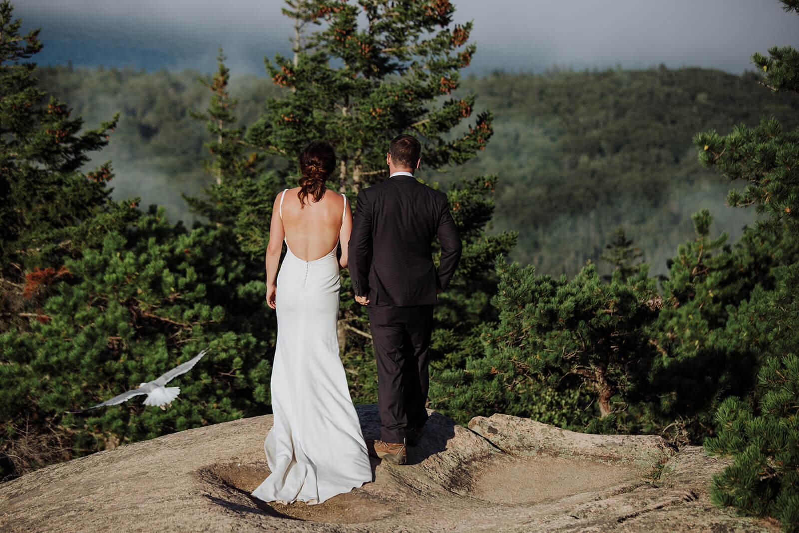  Couple at the summit watches a bird fly by during their Acadia National Park elopement in Maine while hiking the Beehive. 