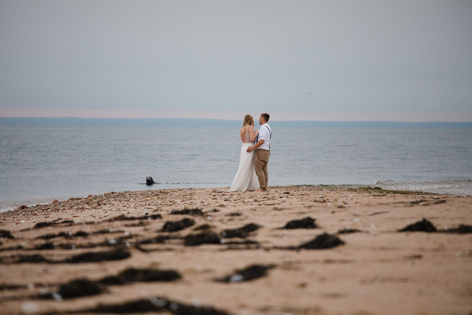  Eloping couple sees a seal pop up during their hiking and beach elopement on Block Island off the coast of Rhode Island. 