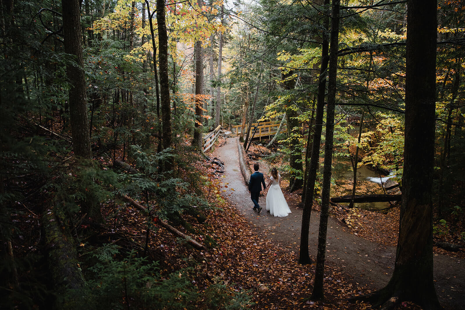  Couple walks through the forest in Franconia Notch State Park in New Hampshire after their elopement ceremony. New Hampshire elopement packages. 