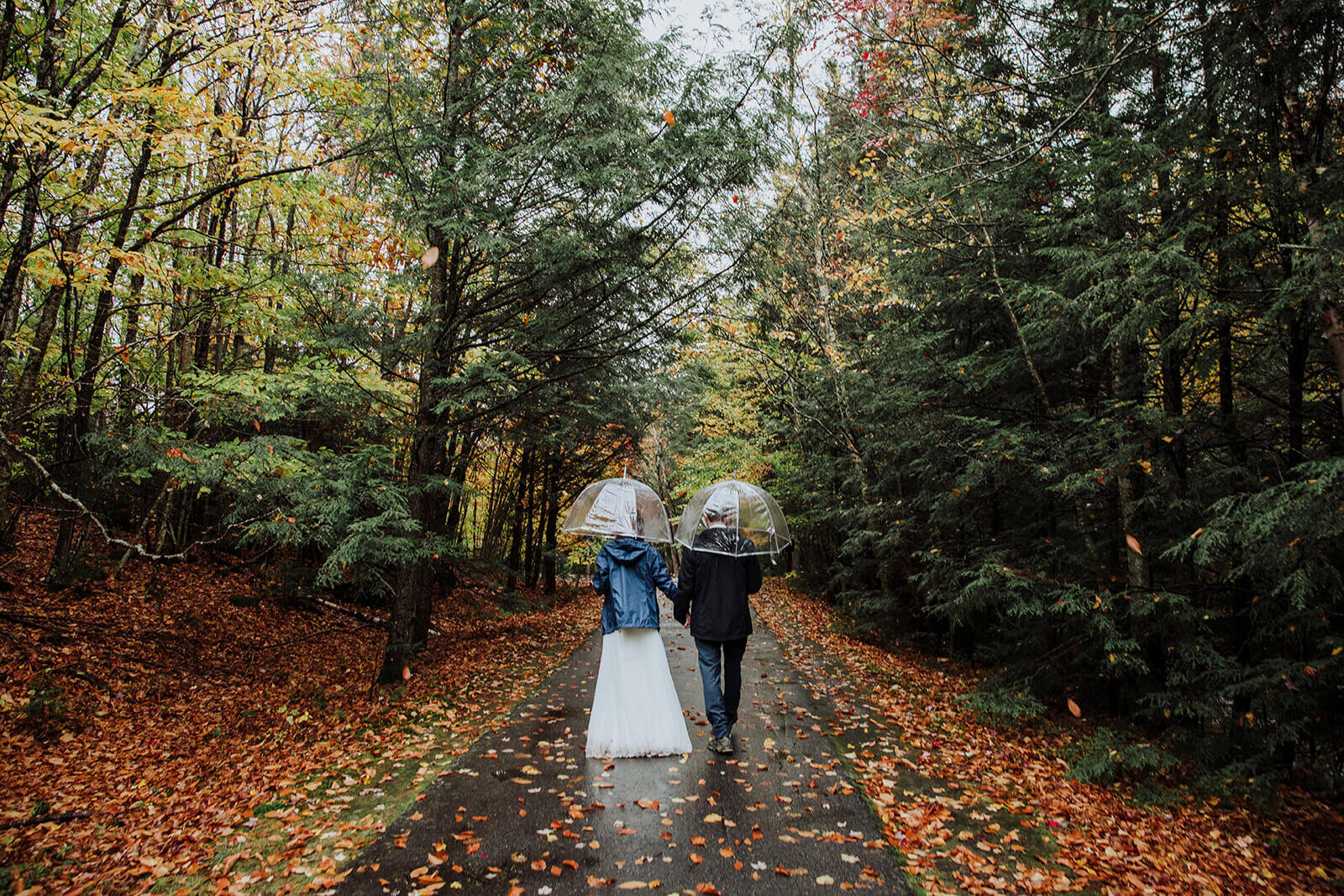  Couple explores the forest in Franconia Notch State Park in New Hampshire after their elopement ceremony. New Hampshire elopement packages. 