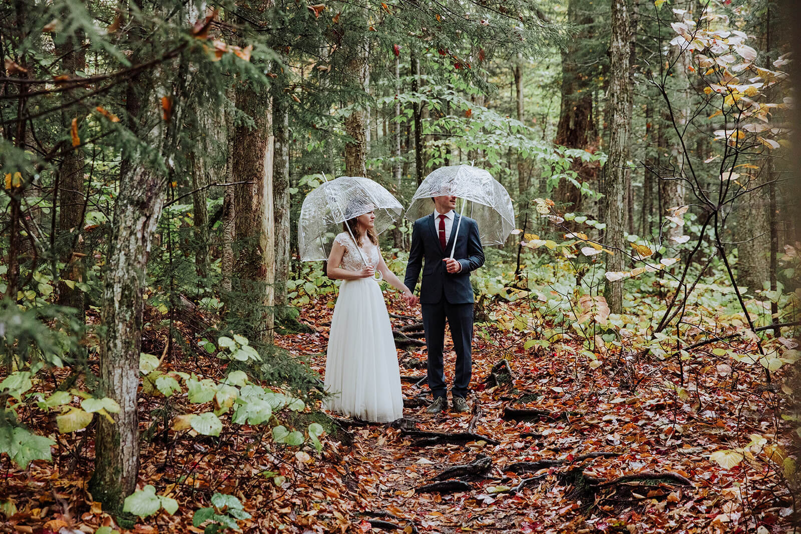  Couple explores the forest in Franconia Notch State Park in New Hampshire after their elopement ceremony. New Hampshire elopement packages. 