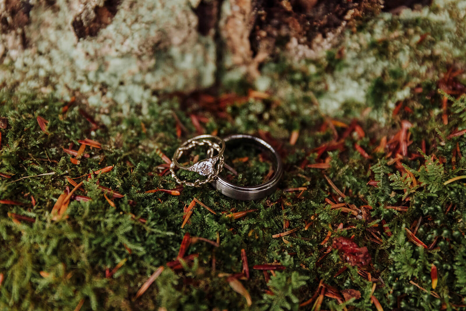  RIng in the moss at Franconia Notch State park during epic elopement 