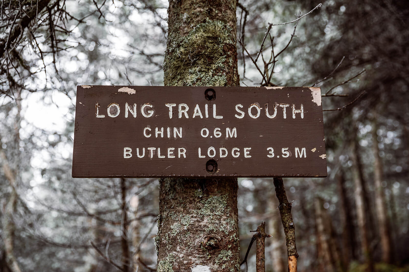  Eloping couple explores the mountain trail during their adventure elopement on Mt. Mansfield, Vermont’s tallest mountain.  Vermont mountain wedding. Vermont winter elopement. Vermont elopement packages. 