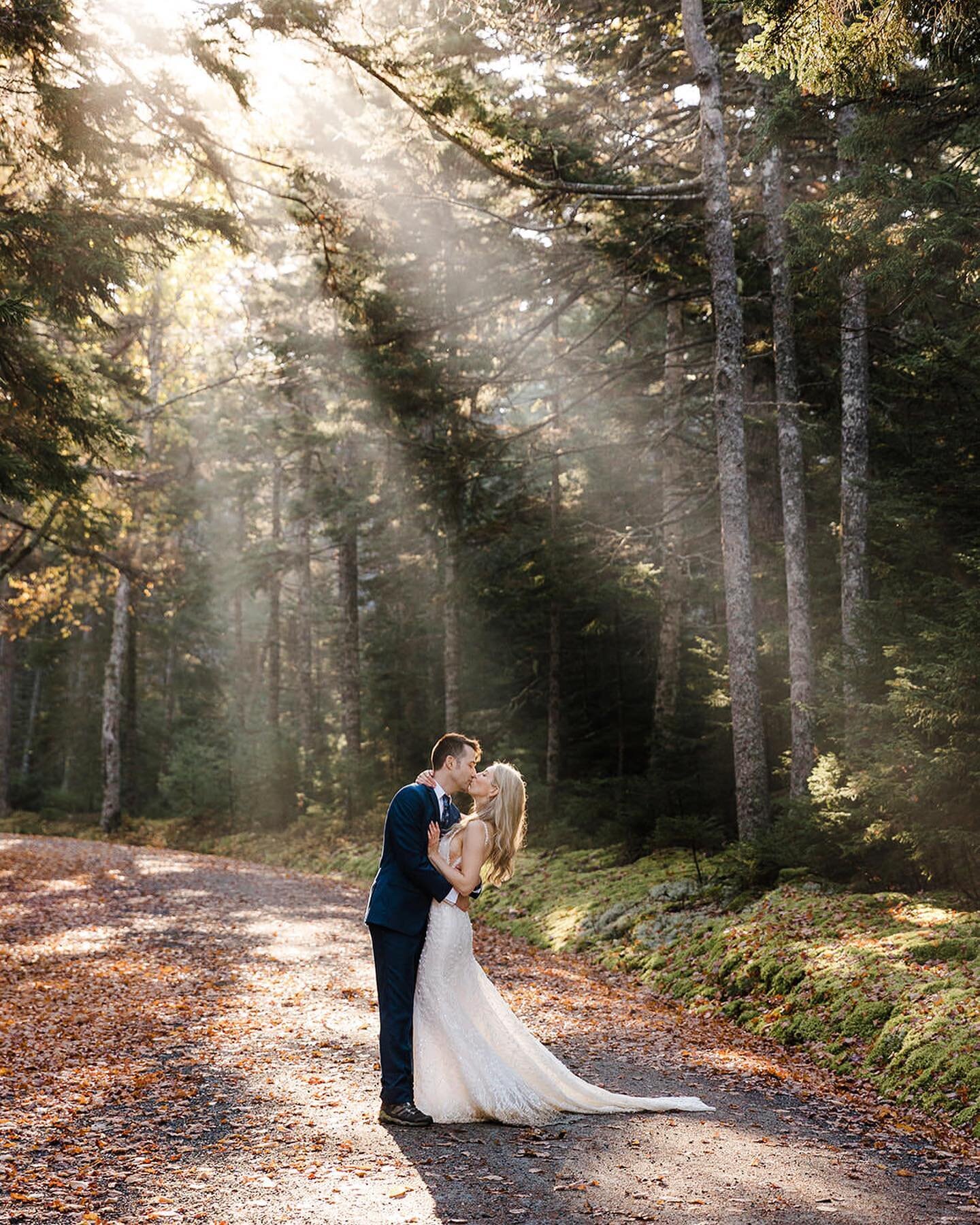 I love when nature surprises us with some sun rays. From a lovely day last year in Acadia National Park.