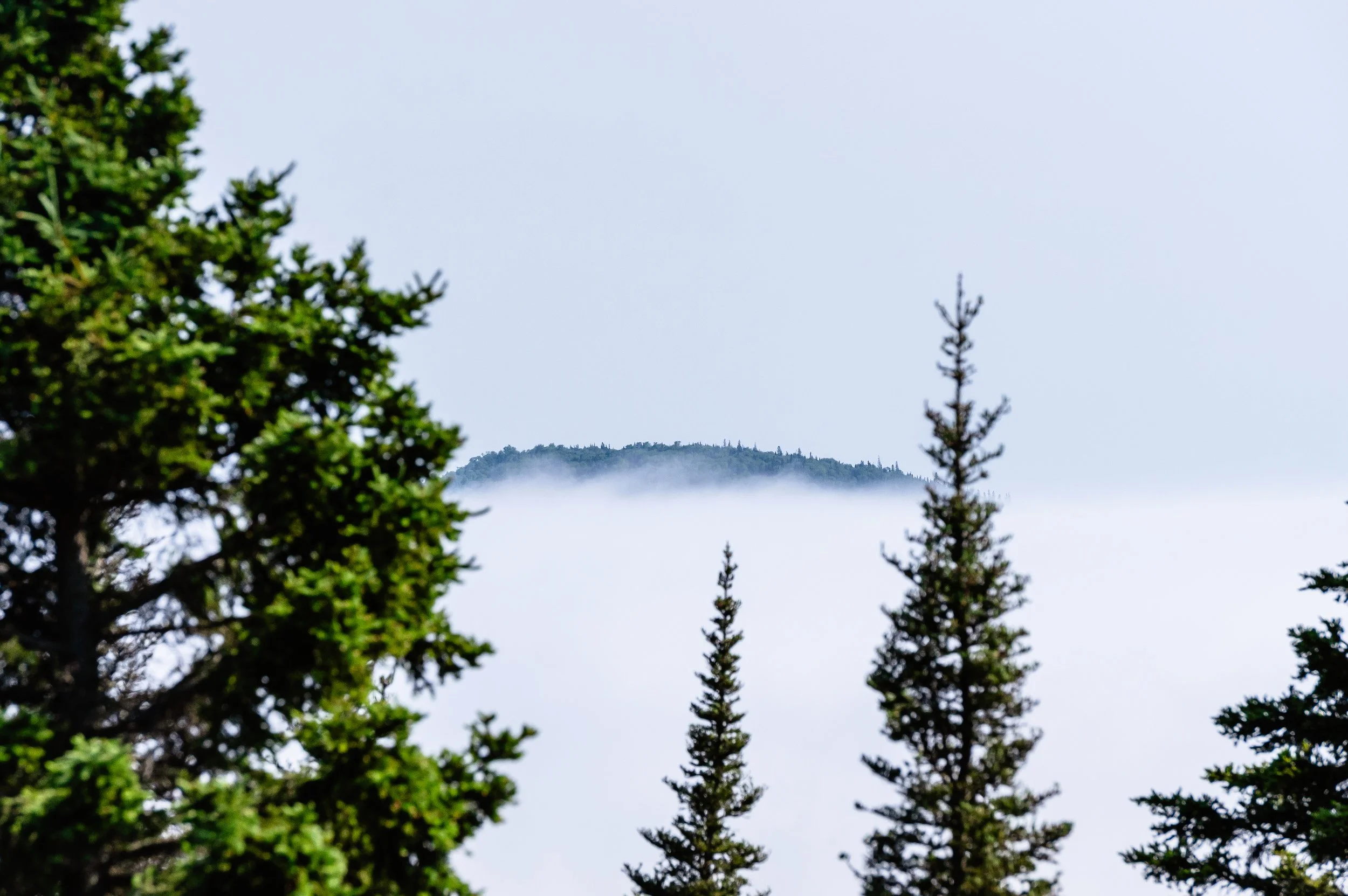 DSC_9384.jpg