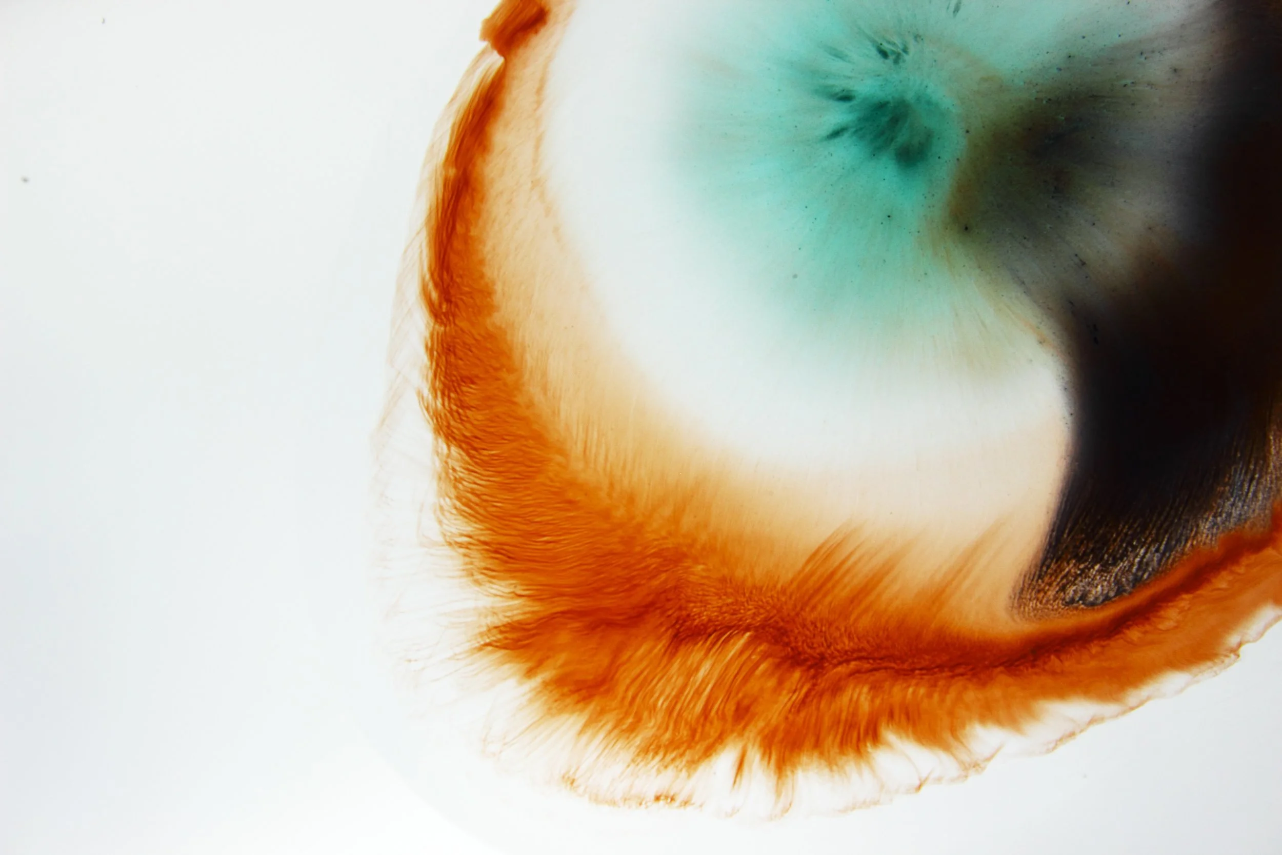 Workshop: Intro to Systemic Constellation and Reading Fields