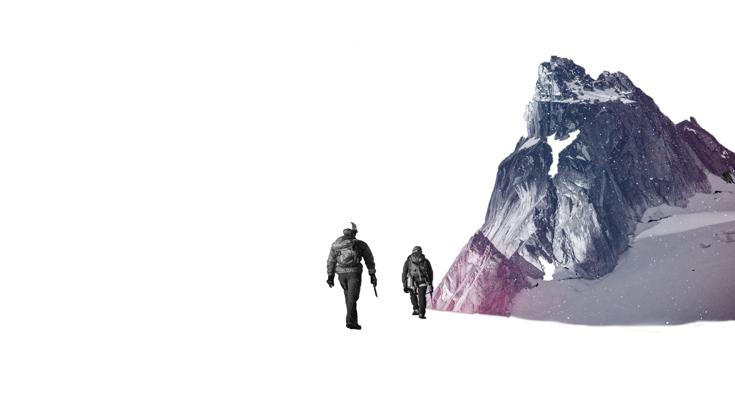 Was tun wir mit dem rosaroten Elefanten im Raum?