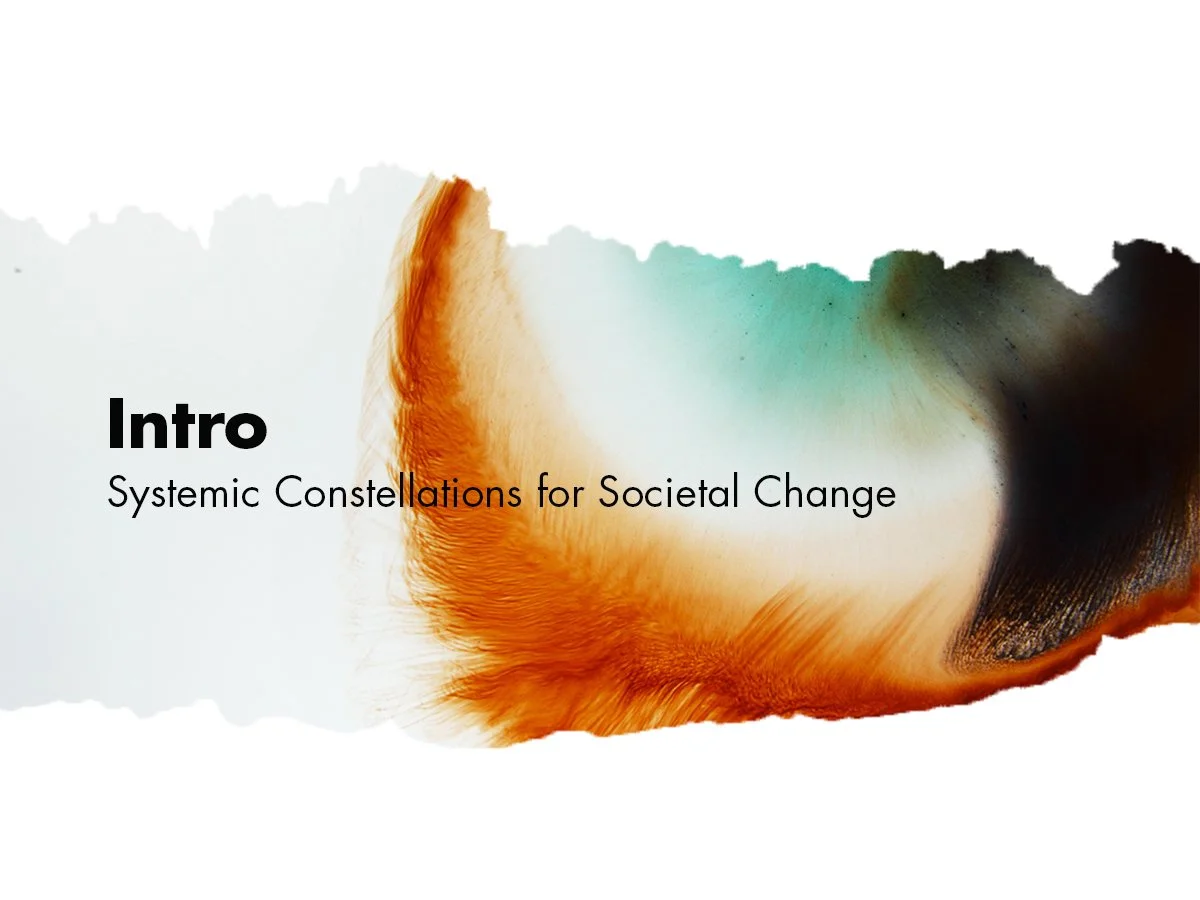 Intro Training: Systemic Constellation for Societal Change (4 sessions) (Time PST)