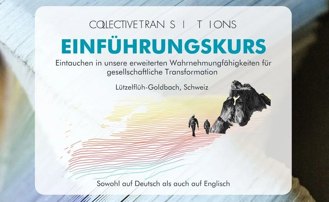 Einführungskurs – eintauchen in unsere erweiterten Wahrnehmungfähigkeiten für gesellschaftliche Transformation