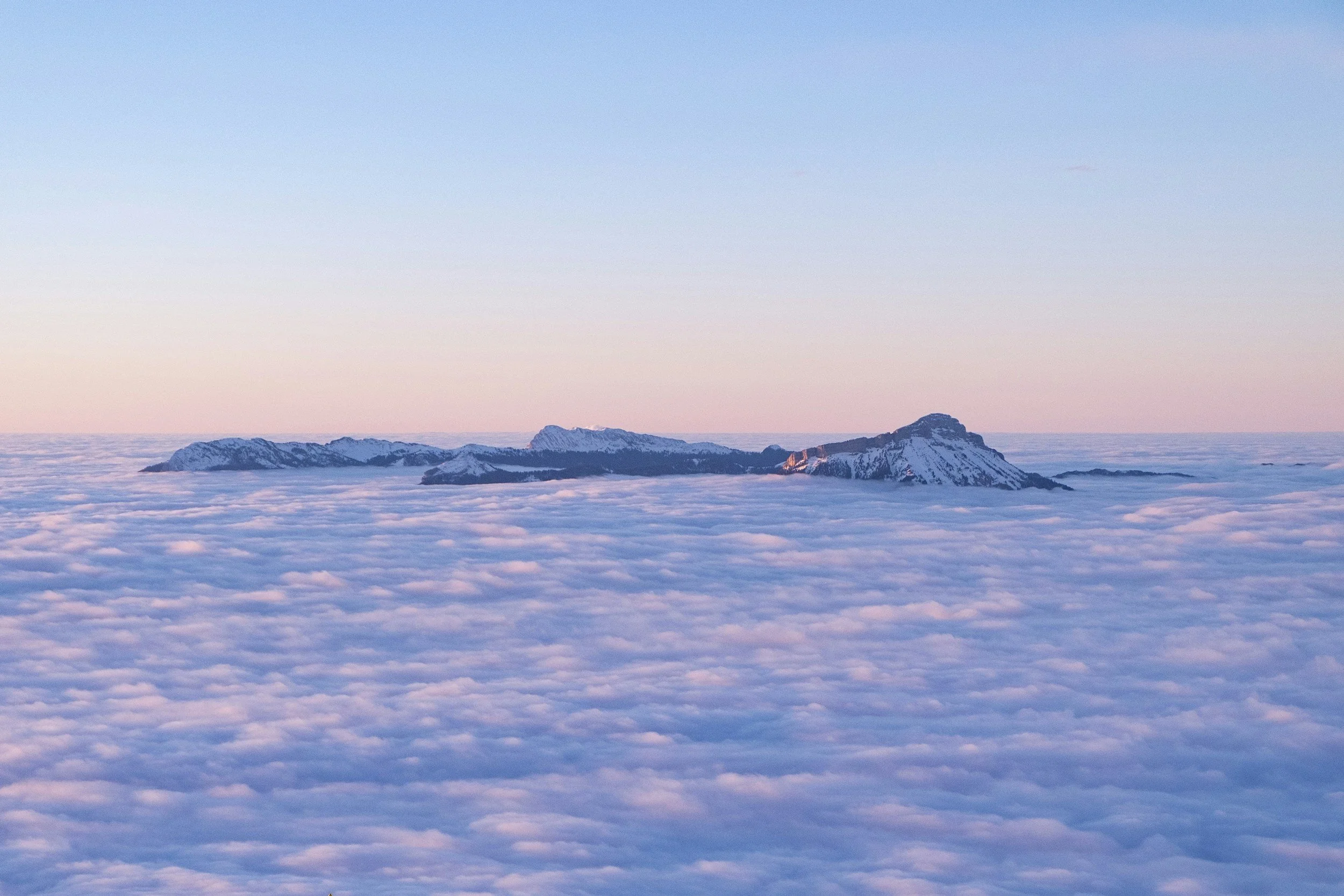 Why Collective Transitions?