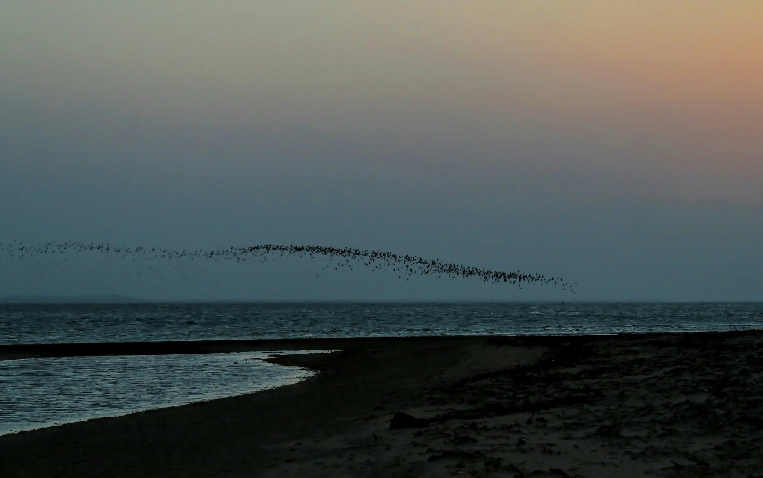 The Still Point: At Active Rest Together