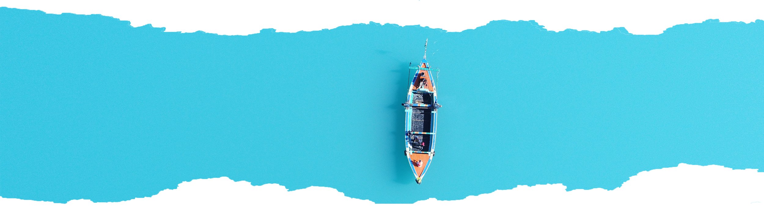 Dedication to our wellspring