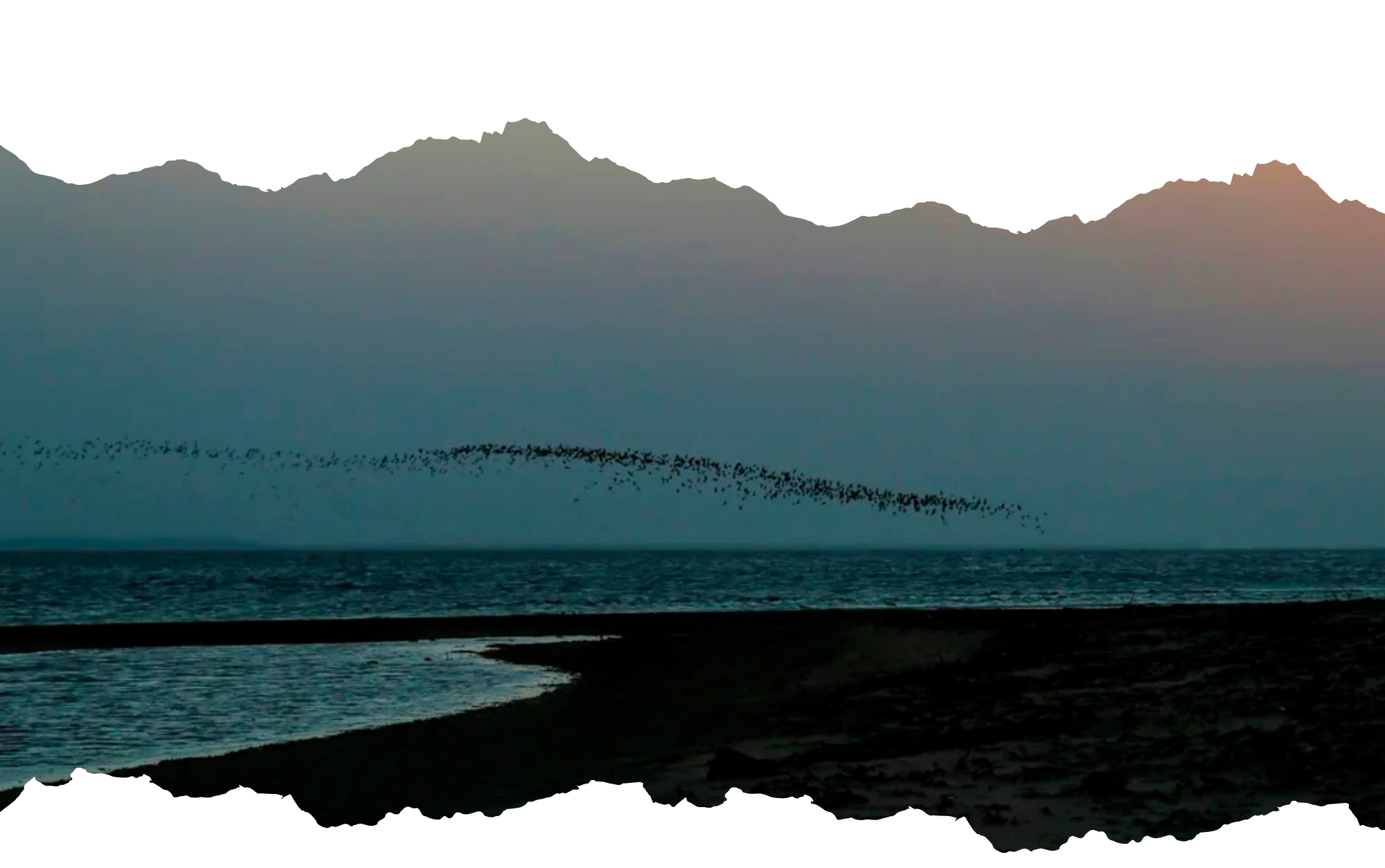 The Still Point: At Active Rest Together