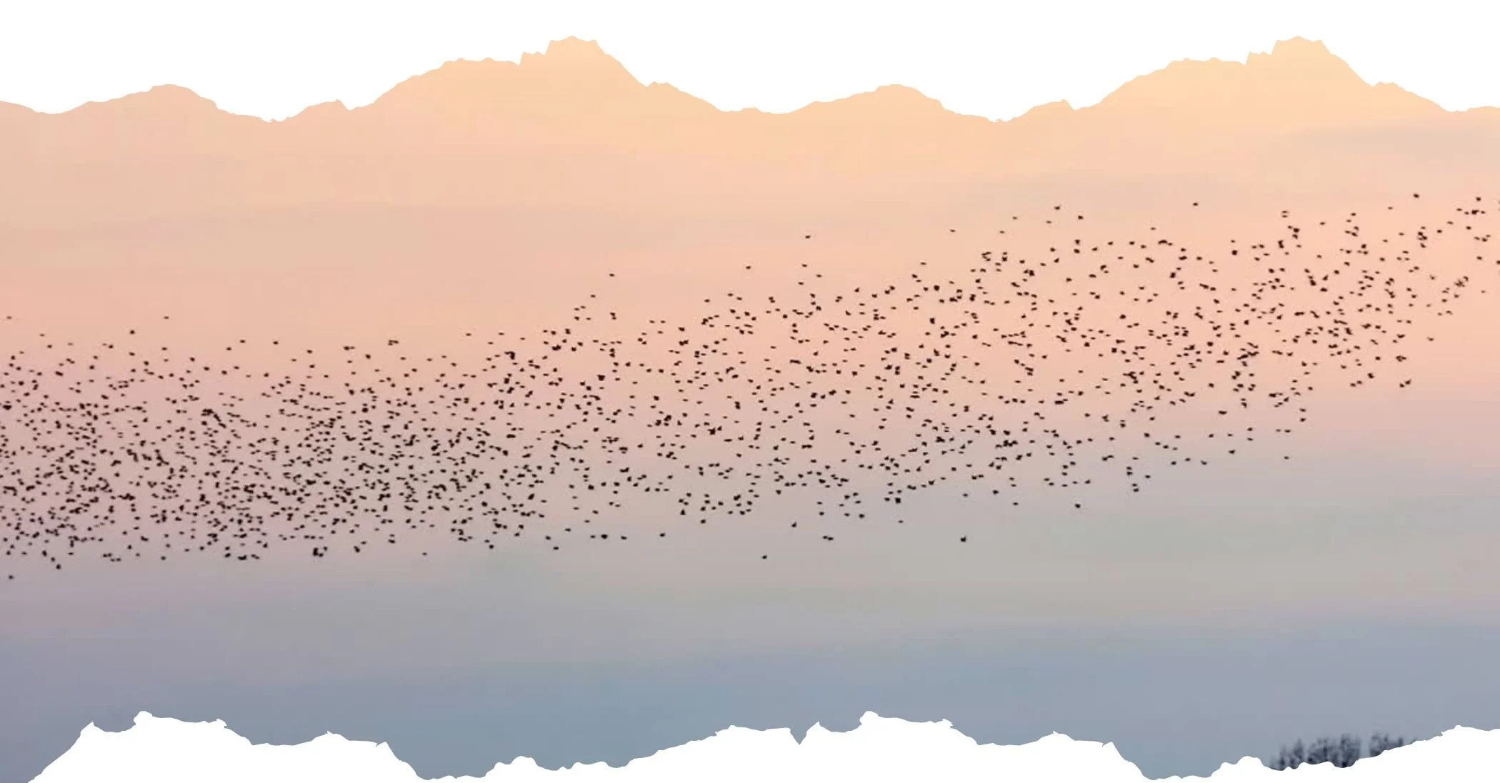 Field Reading - September 30, 2025