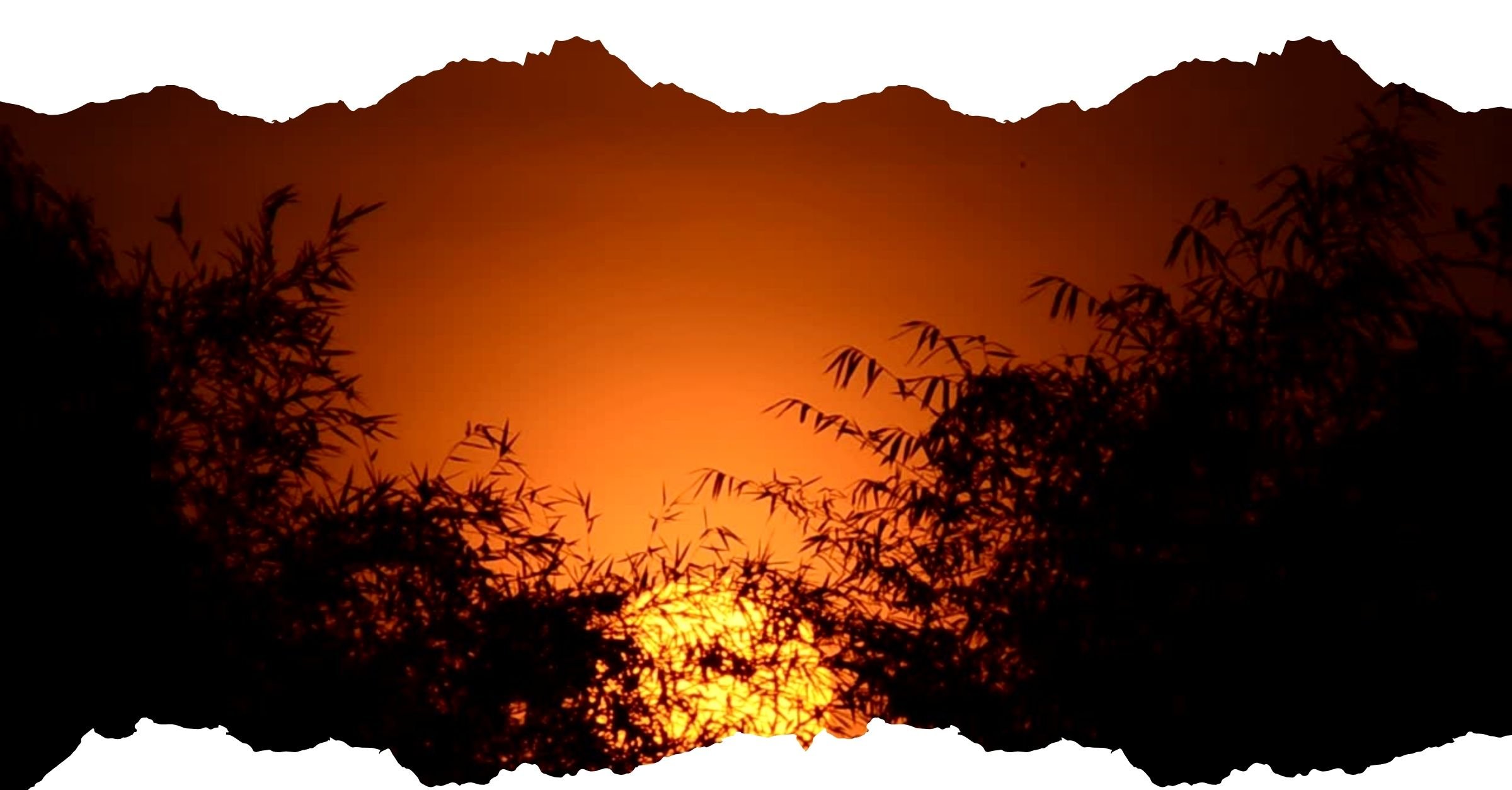 Field Reading from COP - November 10, 2025